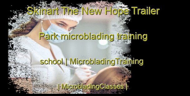 Skinart The New Hope Trailer Park microblading training school | MicrobladingTraining | MicrobladingClasses | SkinartTraining-United States
